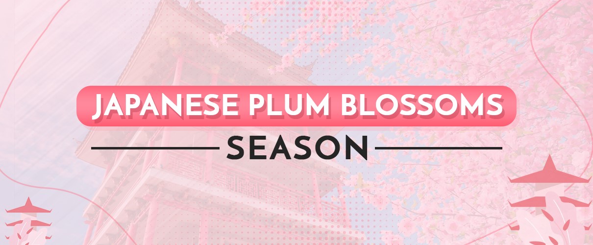 Japanese Plum Blossoms Season: What Does It Represent?